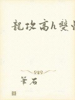 龙攻高h双性