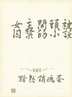 女主开头被锁链囚禁的小说