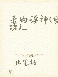素肉淫神(双性攻)_