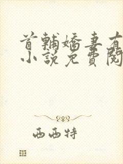 首辅娇妻有空间小说免费阅读原文封面