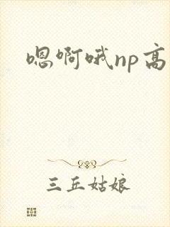 嗯啊哦np高h
