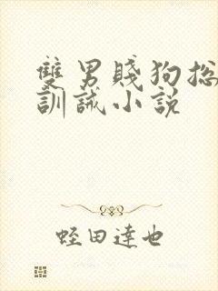 双男贱狗总裁的训诫小说
