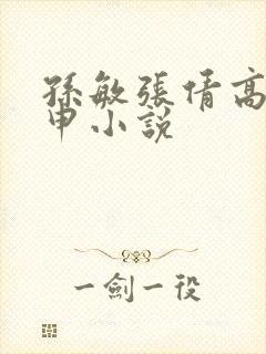 孙敏张倩高义王申小说