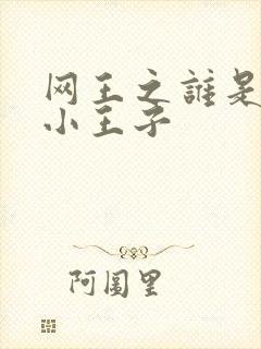 网王之谁是我的小王子