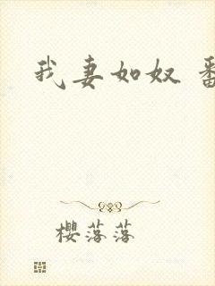 我妻如奴 番外
