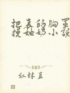 把表的胸罩解开摸她奶小说封面