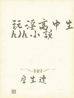 玩淫高中生(高h)h小说