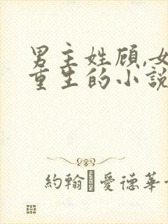 男主姓顾,女主重生的小说