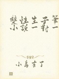双性生子笔趣阁小说一对一封面
