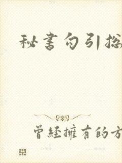 秘书勾引总裁h封面