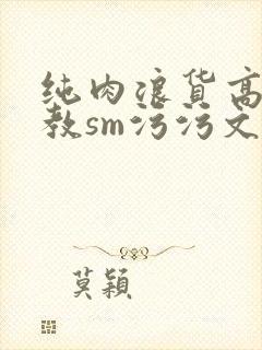 纯肉浪货高h调教sm污污文