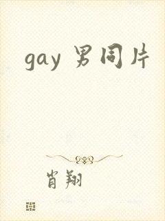 gay 男同片