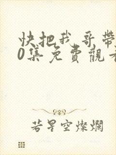 快把我哥带走30集免费观看完整版封面