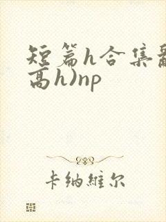 短篇h合集乱(高h)np