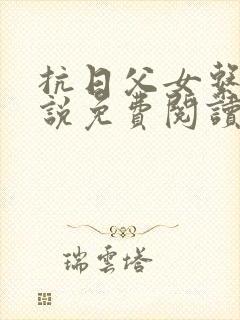 抗日父女系列小说免费阅读最新章节封面