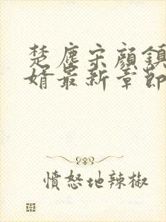 楚尘宋颜镇国神婿最新章节封面