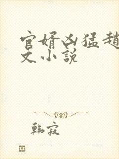 官婿凶猛赵阳全文小说
