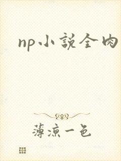 np小说全肉