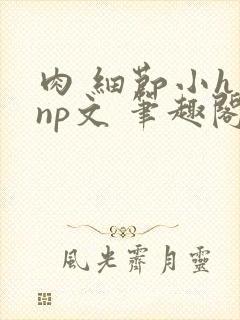 肉 细节小h np文 笔趣阁