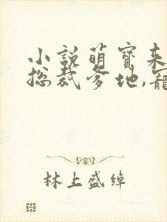 小说萌宝来袭:总裁爹地,宠上天