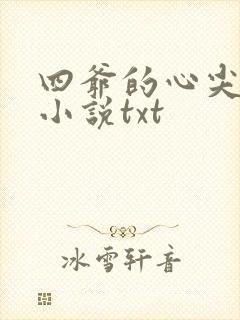 四爷的心尖宠妃小说txt