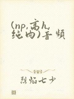 (np,高h,纯肉)音频