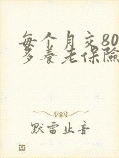 每个月交800多养老保险退休有多少钱