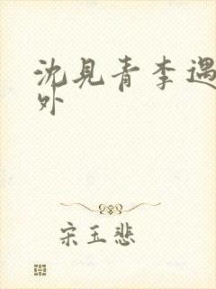 沈见青李遇泽番外封面