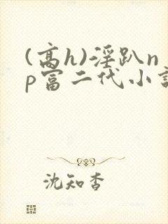 (高h)淫趴np富二代小说
