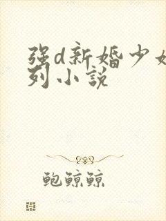 强d新婚少妇系列小说封面