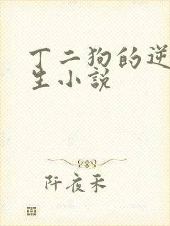 丁二狗的逆袭人生小说