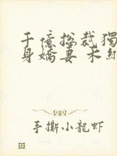 千亿总裁独宠替身娇妻 禾维