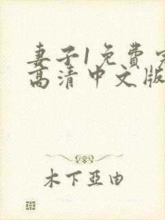 妻子1免费完整高清中文版电视剧