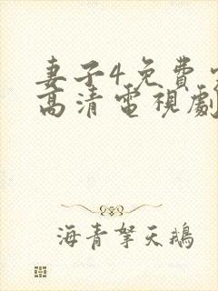妻子4免费完整高清电视剧在线看