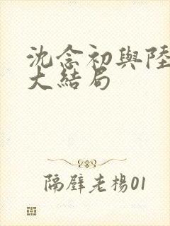 沈念初与陆临洲大结局封面