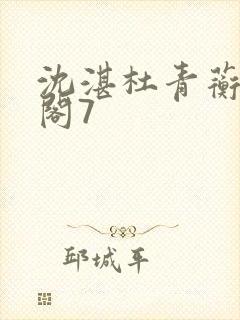 沈湛杜青蘅笔趣阁7