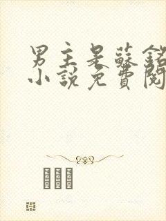 男主是苏铭渊的小说免费阅读