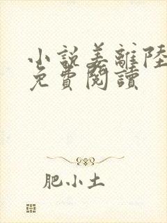 小说姜离陆时晏免费阅读