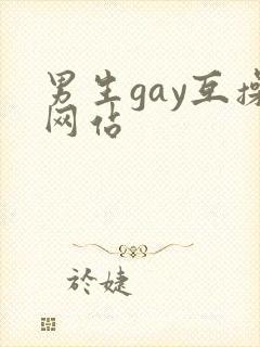 男生gay互操网站