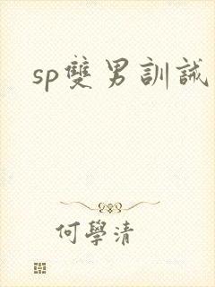 sp双男训诫文