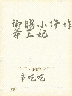 御赐小仵作2王爷王妃