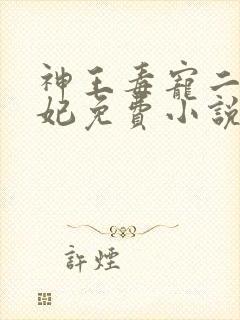 神王毒宠二嫁王妃免费小说