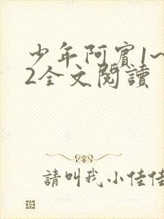 少年阿宾1~72全文阅读