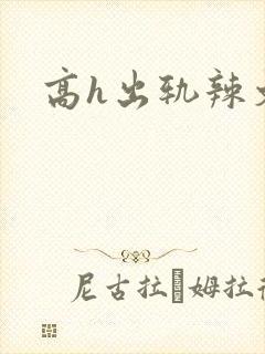 高h出轨辣文