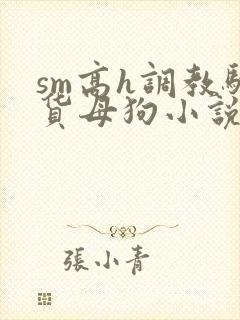 sm高h调教骚货母狗小说