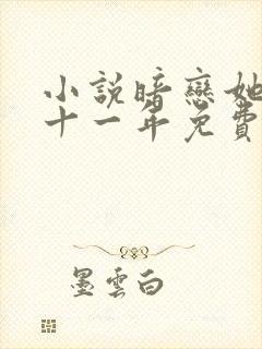 小说暗恋她的第十一年免费封面