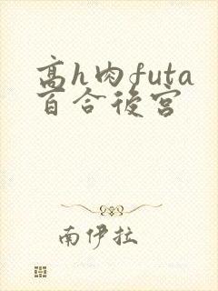 高h肉futa百合后宫封面