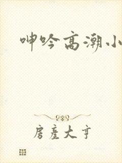 呻吟高潮小说
