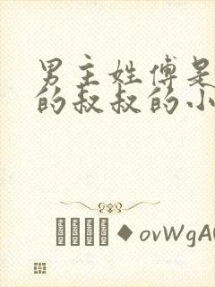 男主姓傅是女主的叔叔的小说