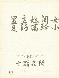 男主姓周女主姓夏的高干小说
